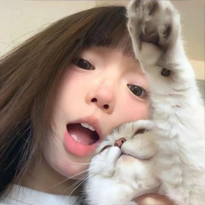 总统的女儿海报